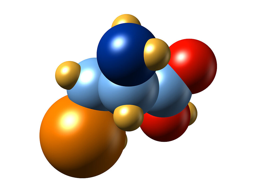 Selenocysteine,molecular model