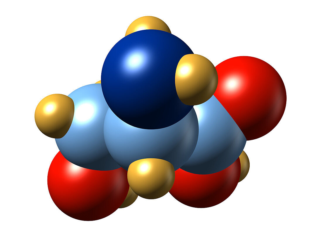 Serine,molecular model