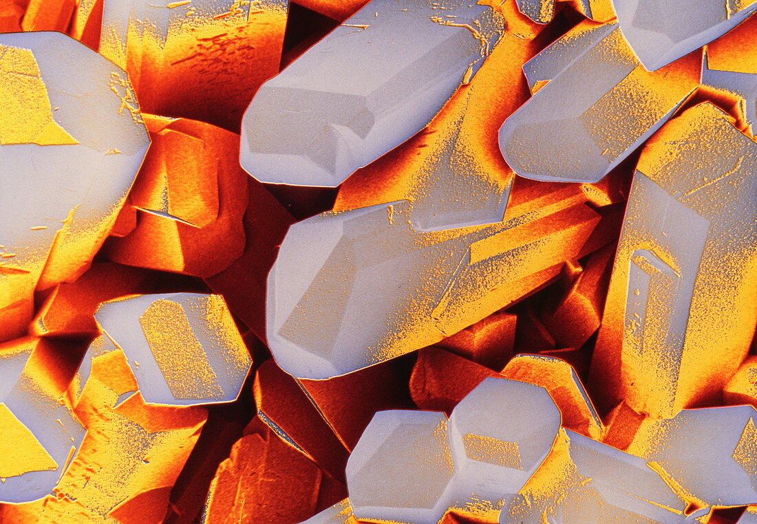 False-colour SEM of crystals of vitamin C