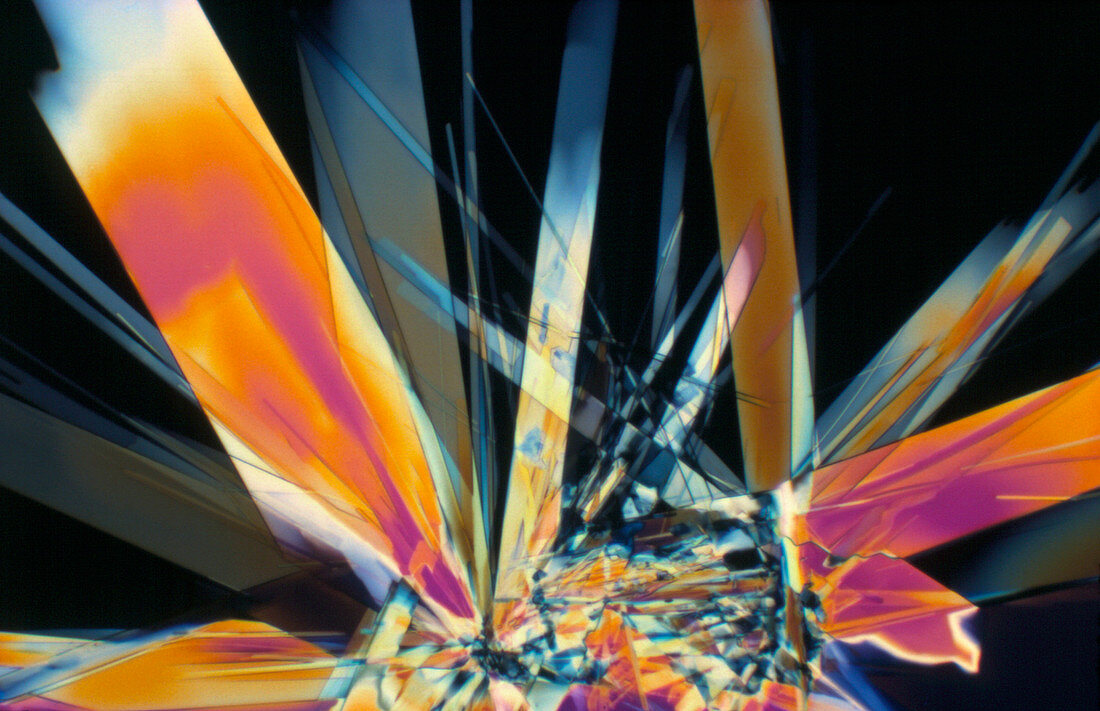 Light micrograph of thiamine crystals