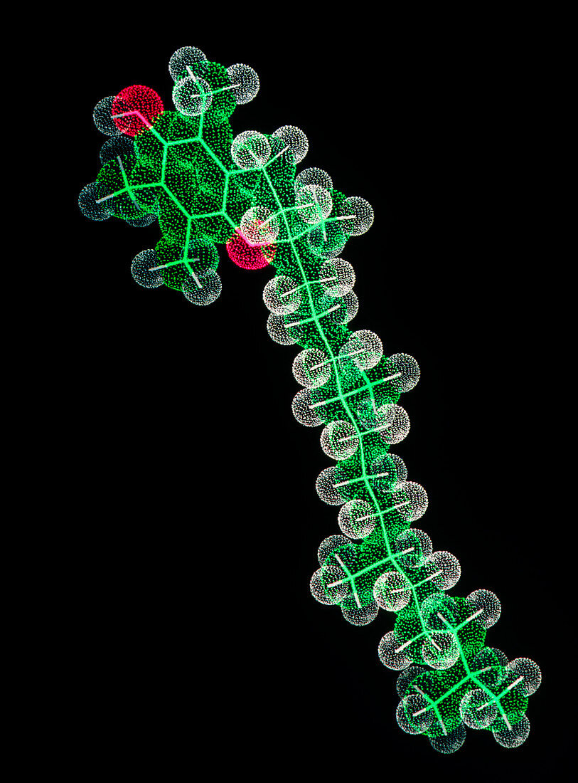 Molecular graphic of vitamin E