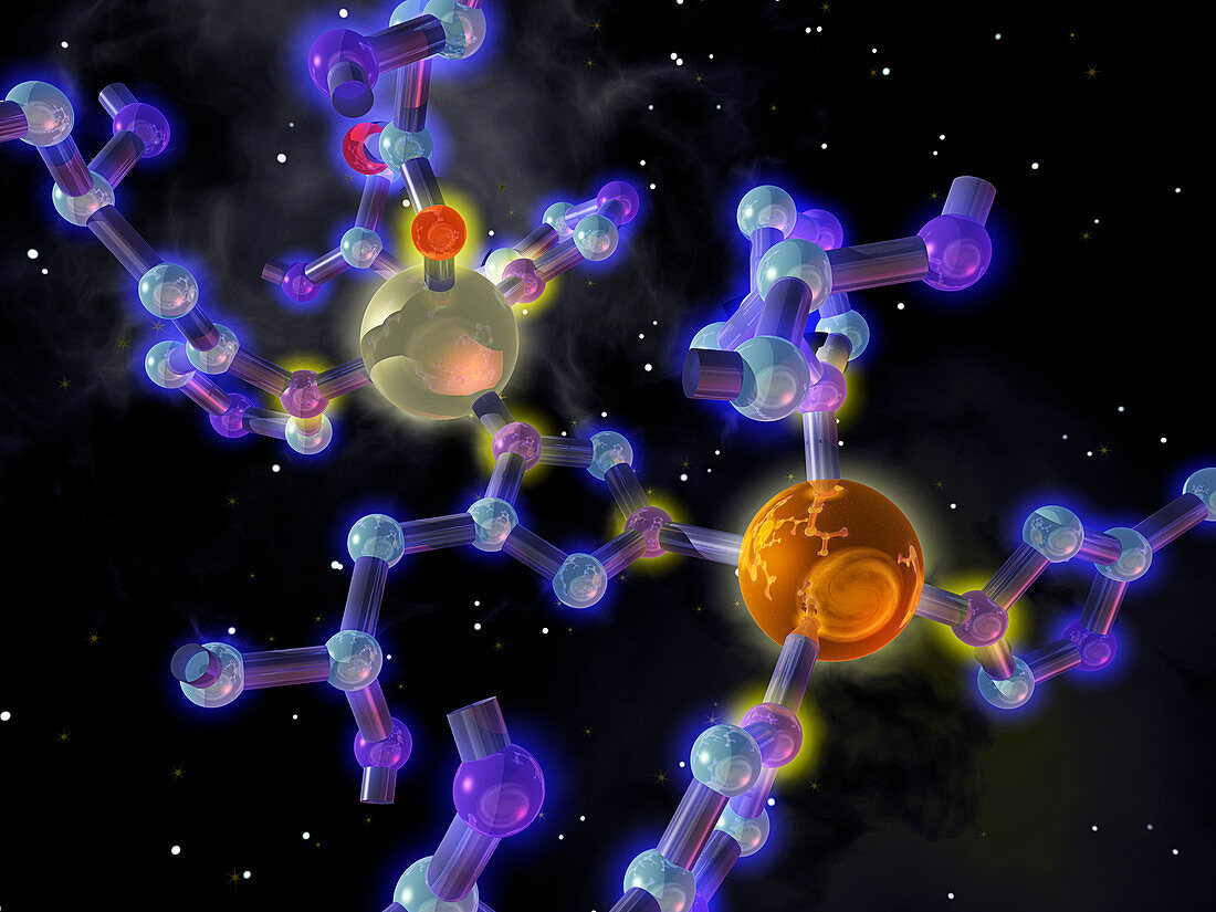 Superoxide dismutase molecule
