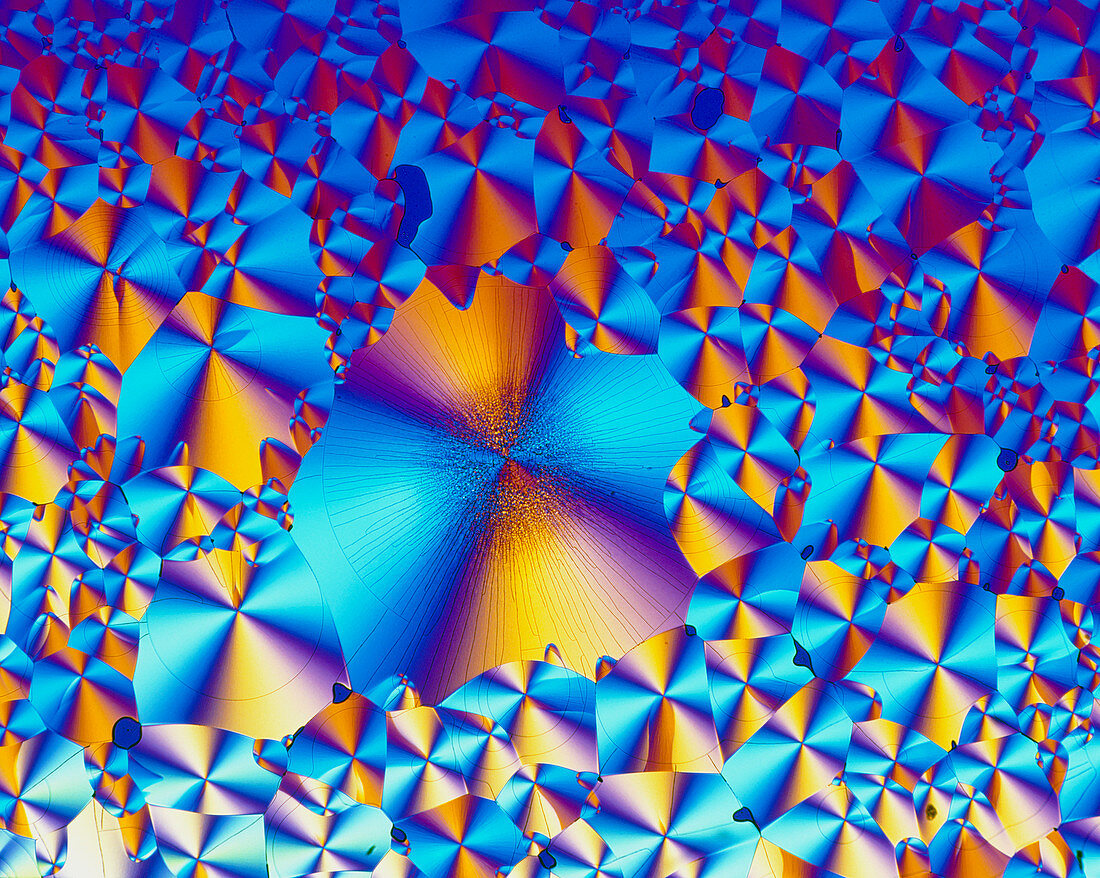 PLM of crystals of tryptophan