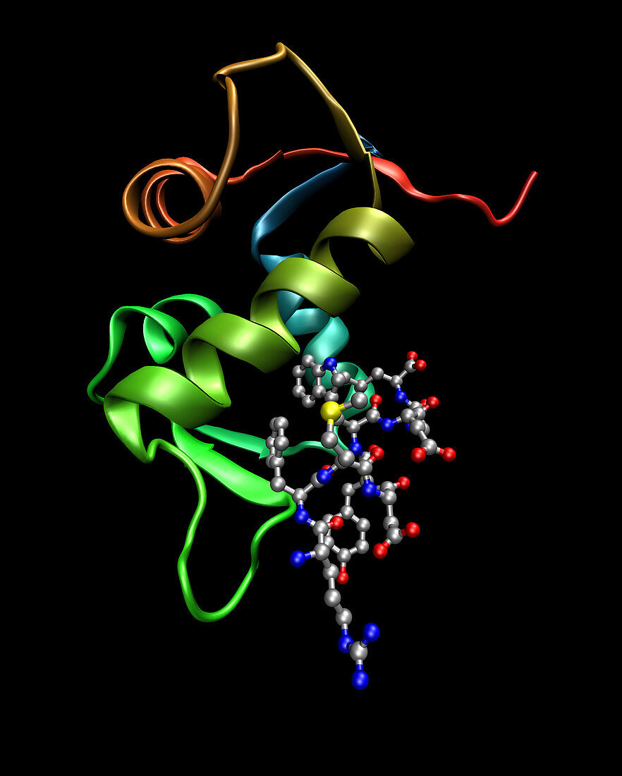 p53 tumour protein bound to Mdm2 protein