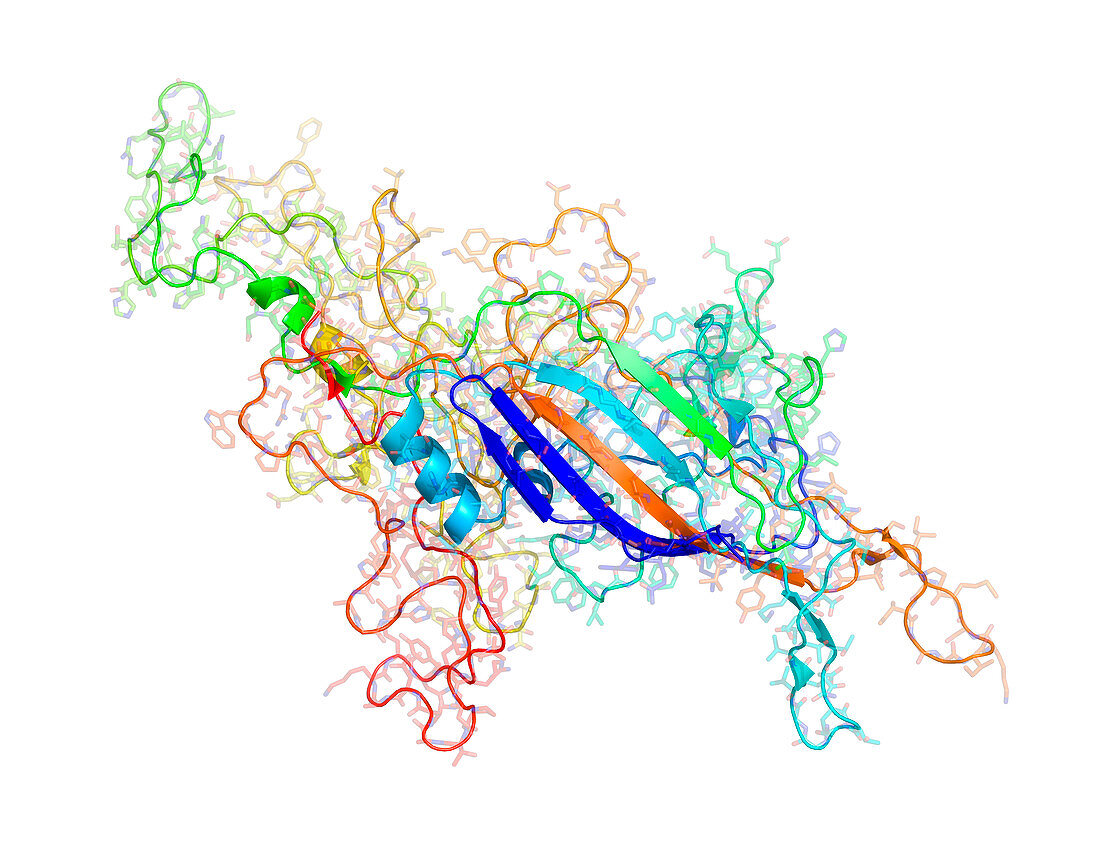 Human parvovirus B19 capsid structure