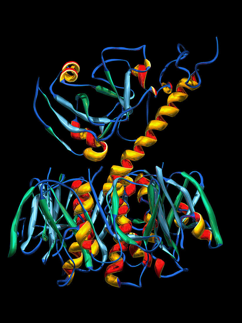 Cholera toxin,molecular model