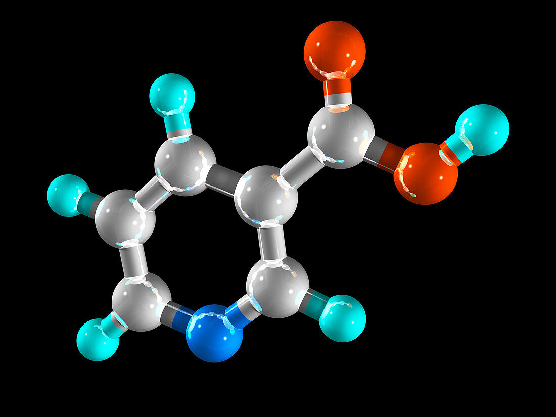 Vitamin B3,molecular model
