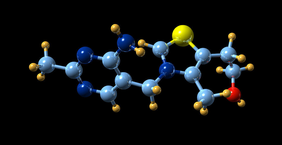 Vitamin B1,molecular model