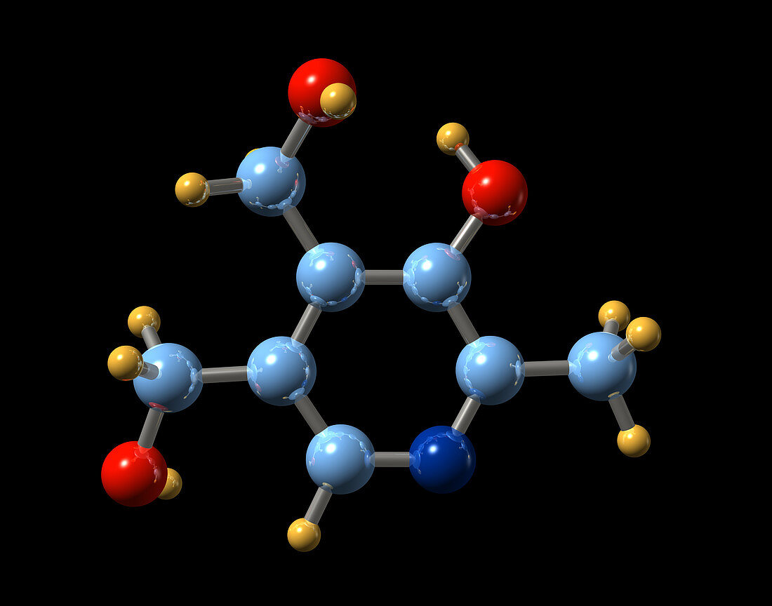 Vitamin B6,molecular model