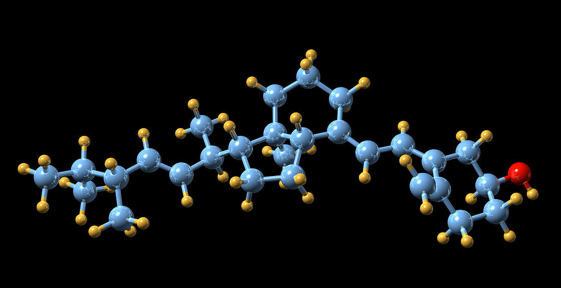 Vitamin D2,molecular model