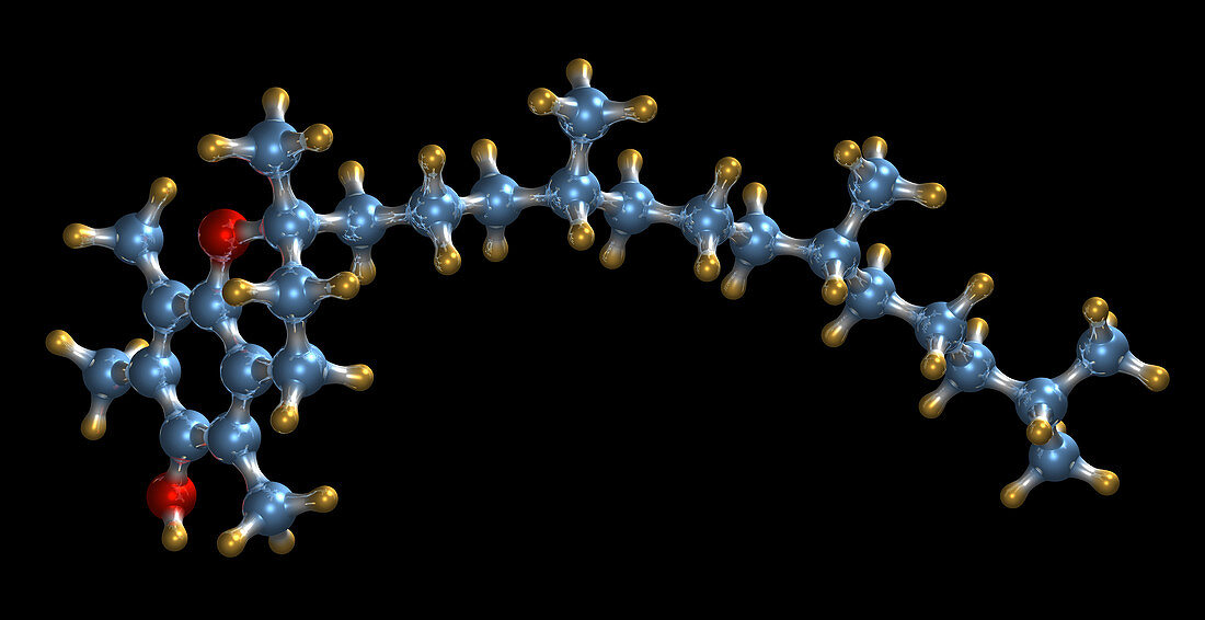 Vitamin E (tocopherol) molecule