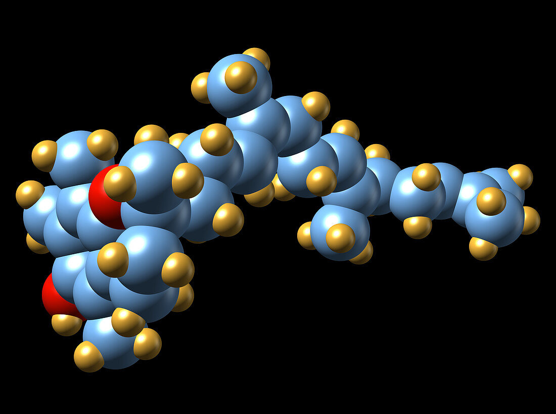 Vitamin E (tocotrienol) molecule