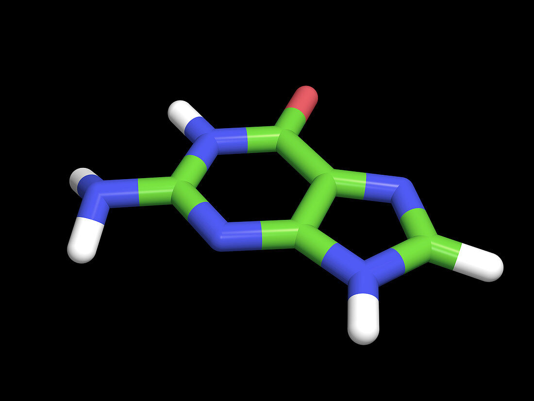 Computer artwork of a guanine molecule