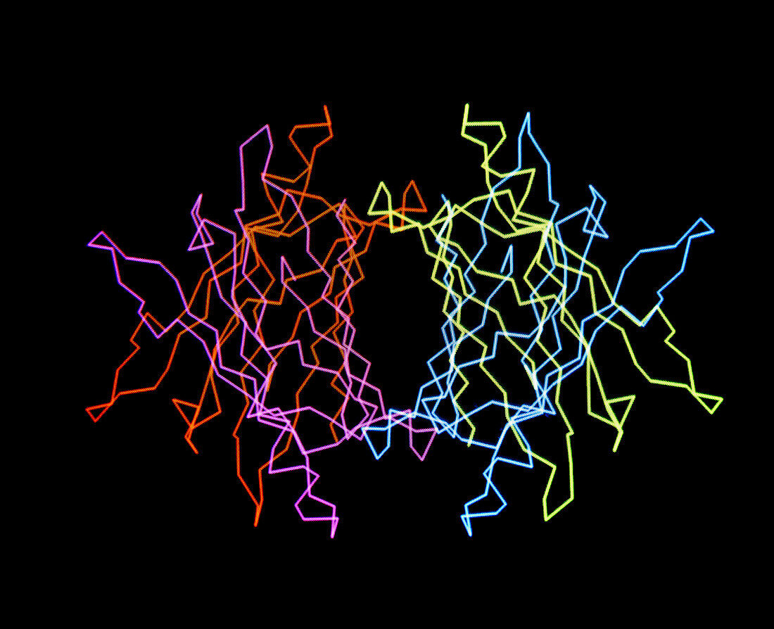 Prealbumin molecule