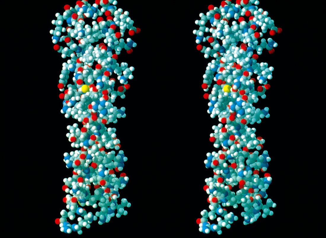 Molecular graphic of the protein keratin