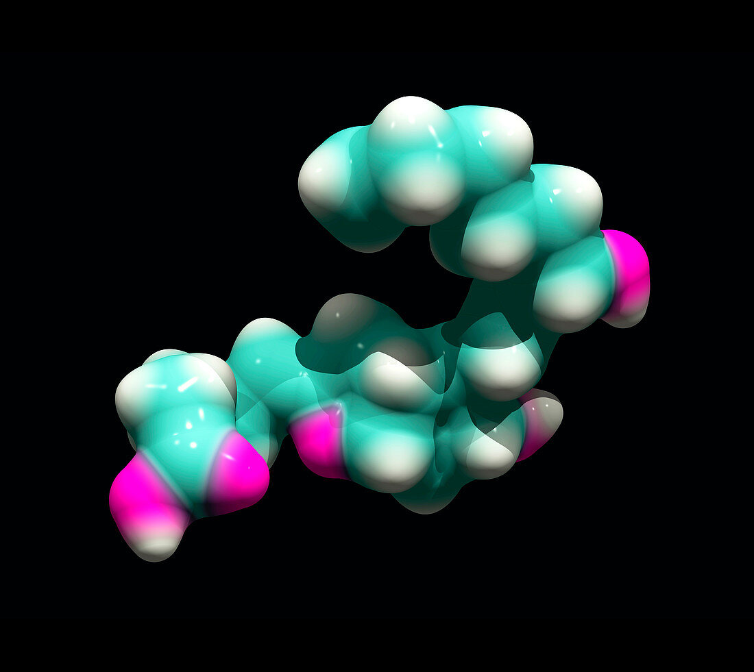 Prostacyclin,molecular model