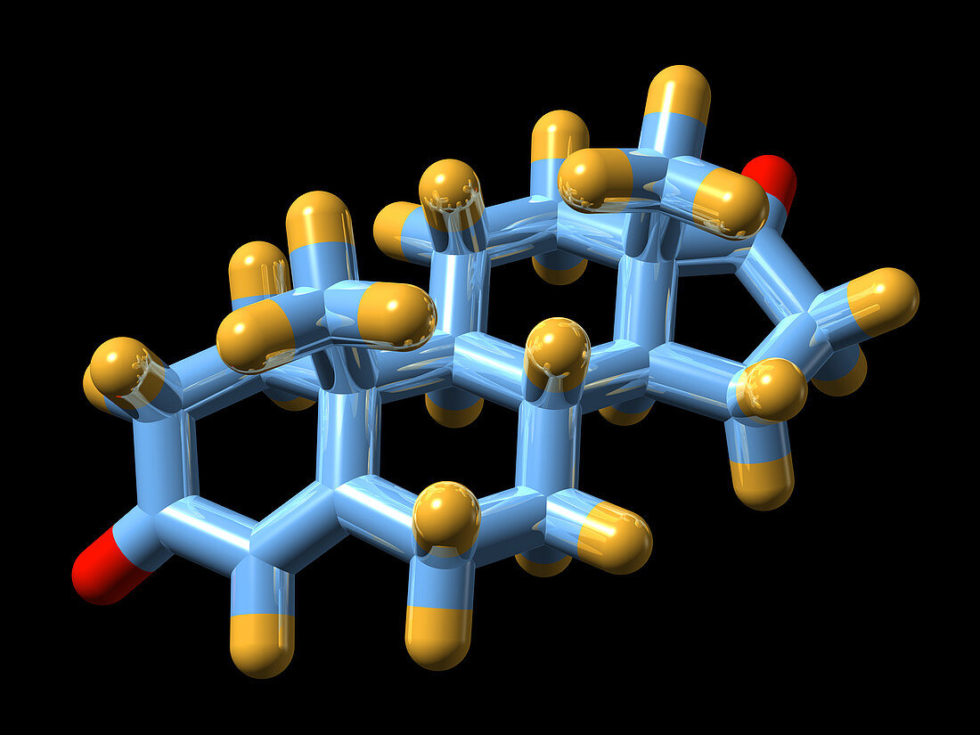 Androstenedione hormone,molecular model