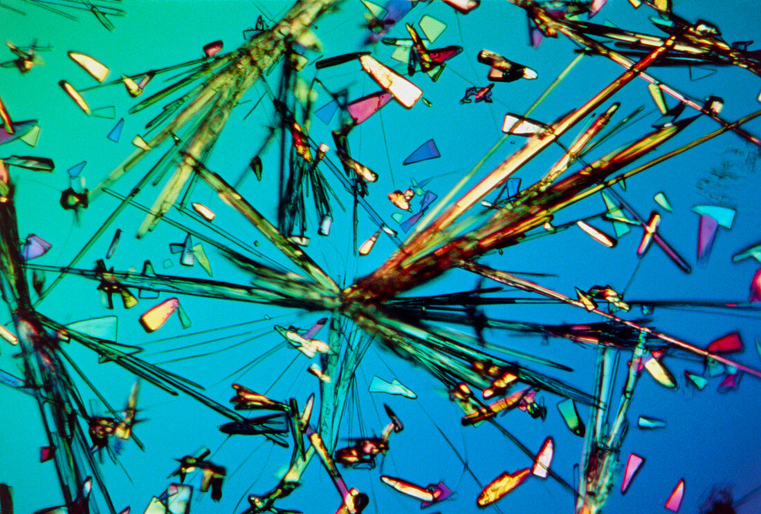 Ampicillin antibiotic drug crystals