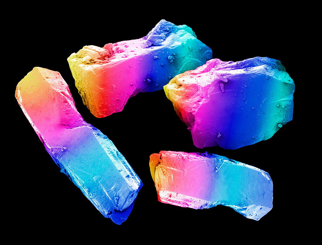 Cocaine crystals,SEM