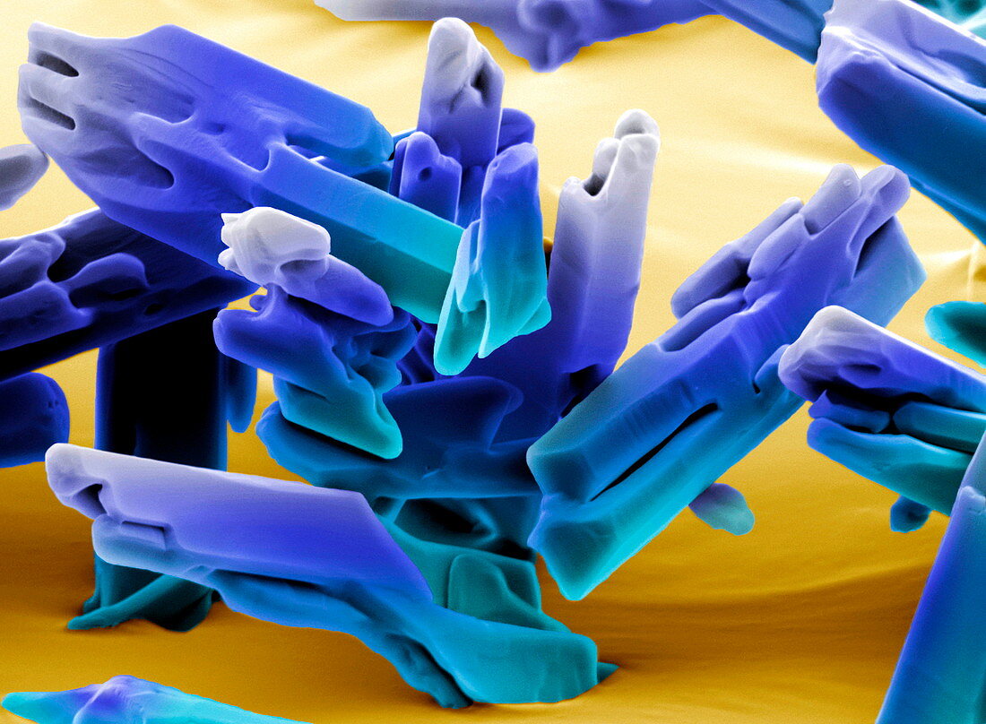 Morphine crystals,SEM