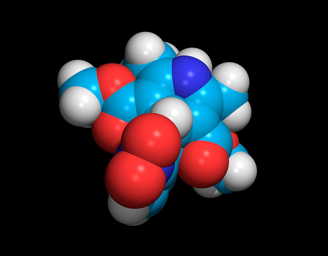 Nifedipine drug molecule