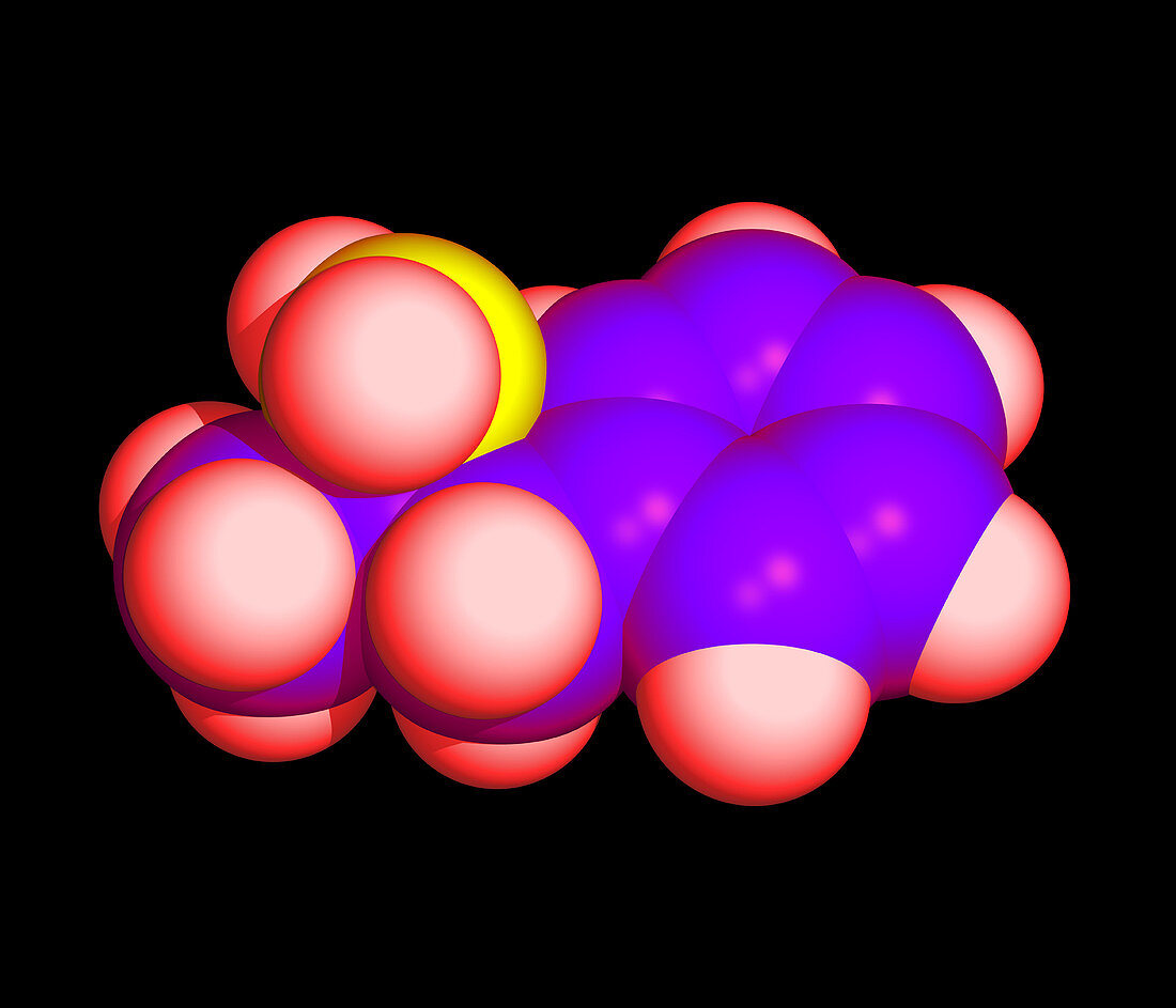 Amphetamine drug molecule