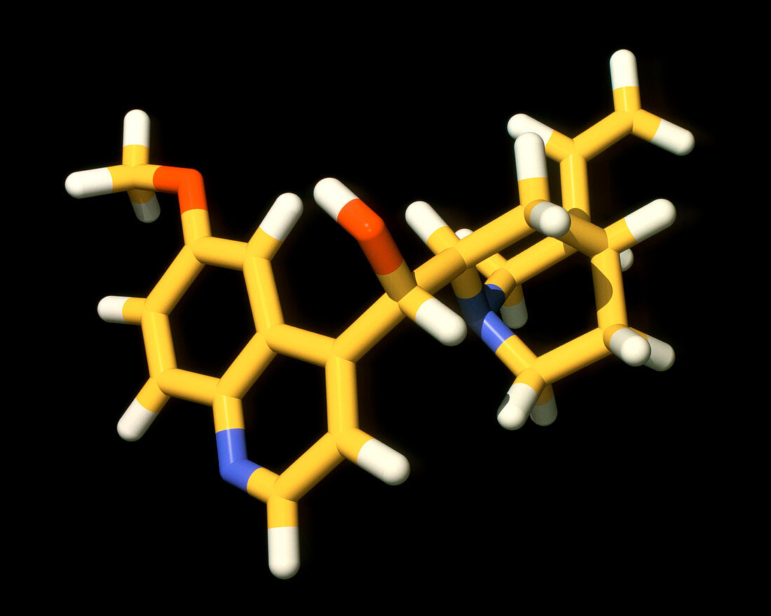 Molecular graphic of the drug quinine
