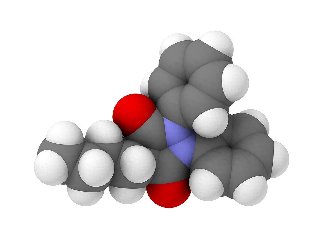 Phenylbutazone anti-inflammatory molecule