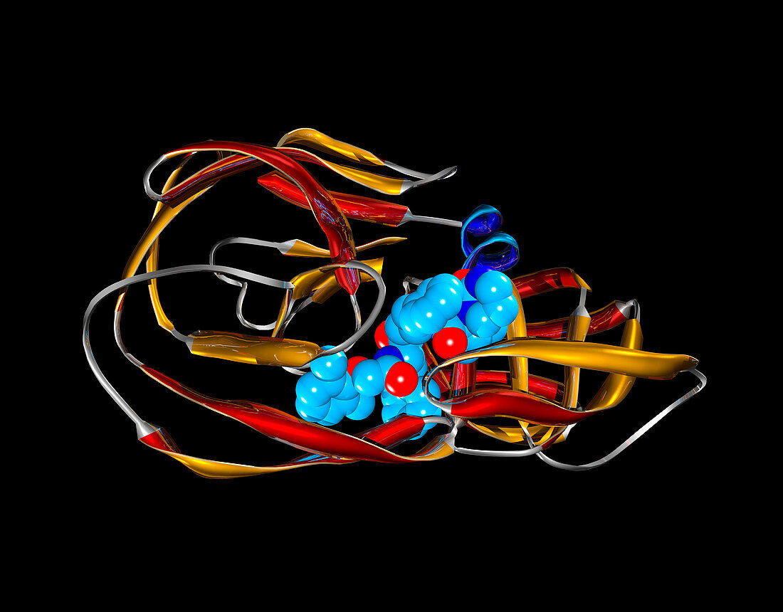 Lopinavir HIV drug-protease complex