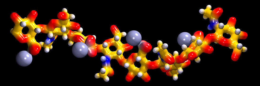 Hyaluronic acid,molecular model