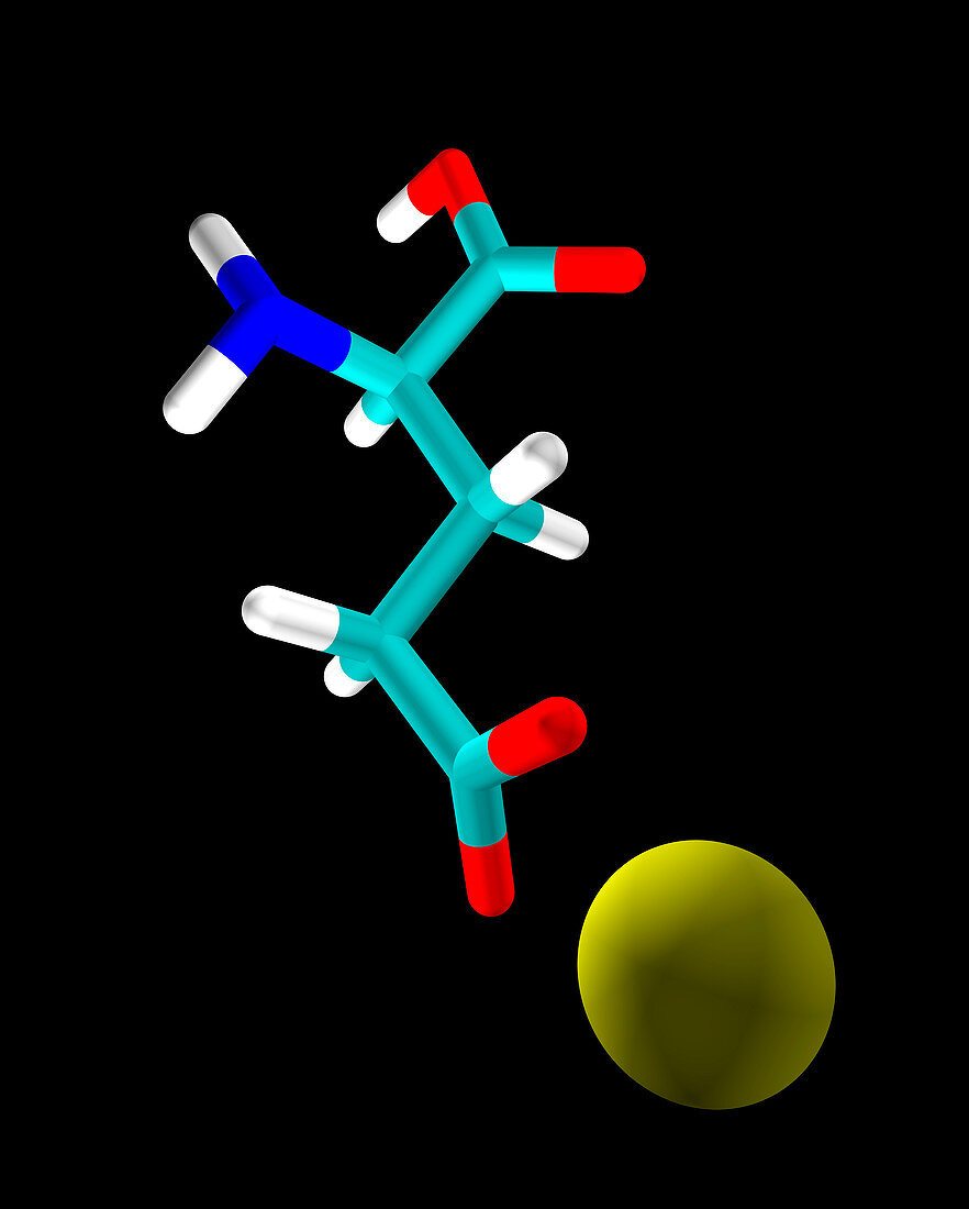 Monosodium glutamate molecule