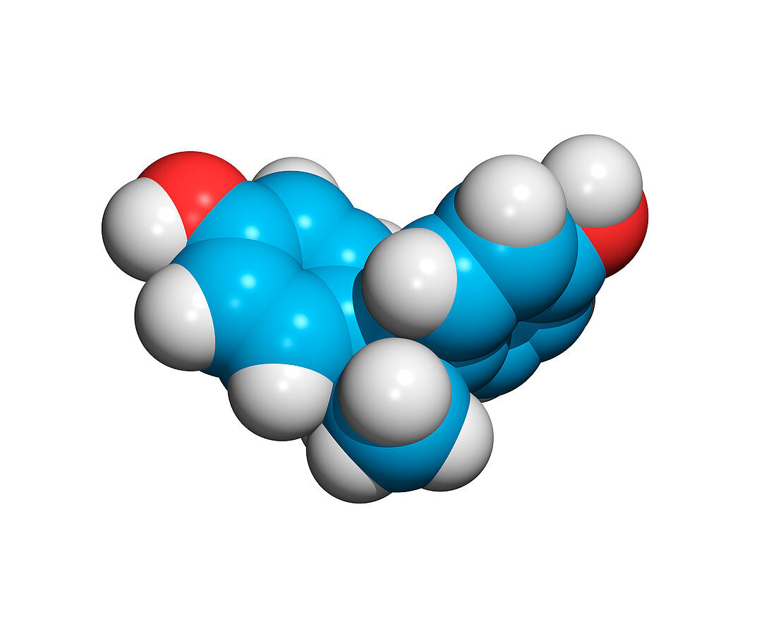 Bisphenol A organic pollutant