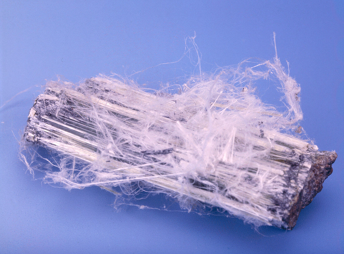 A specimen of asbestos