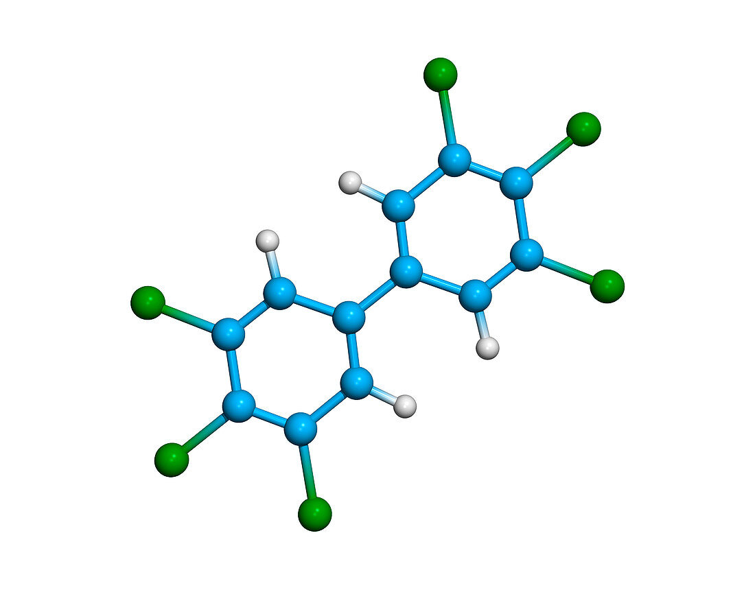 Polychlorinated biphenyl molecule