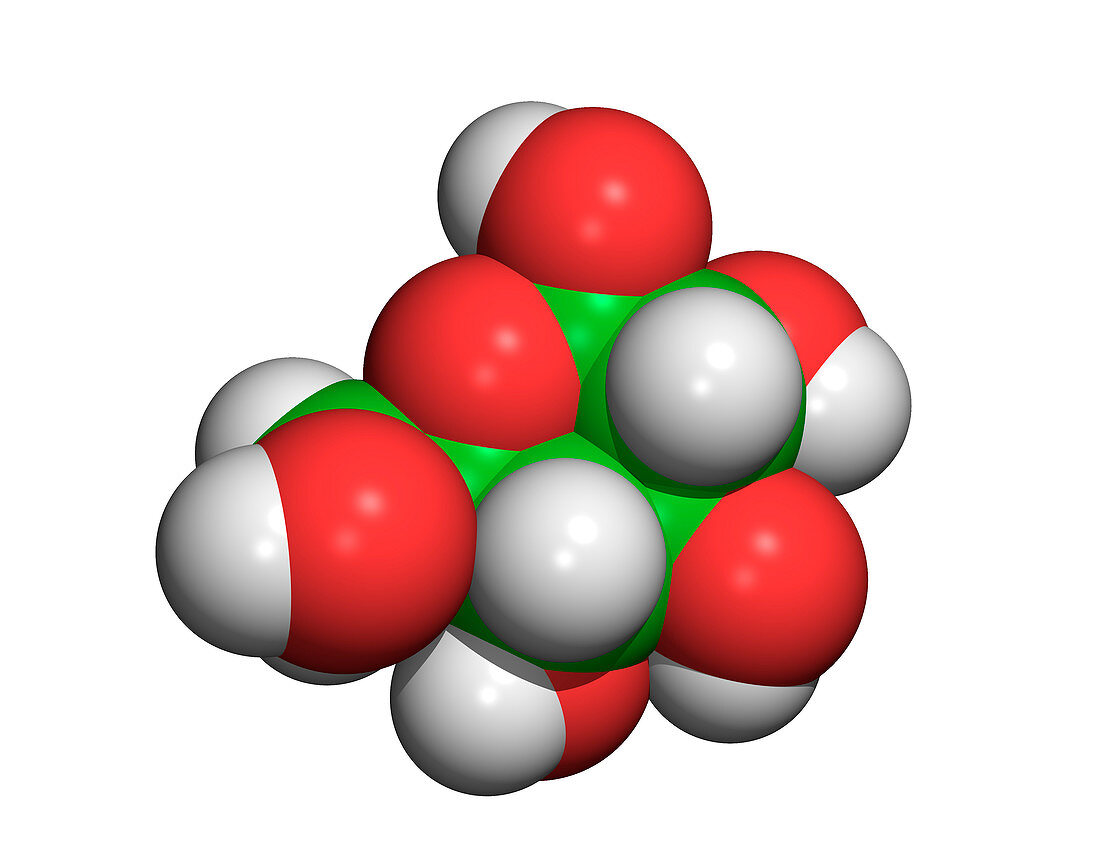 Glucose molecule