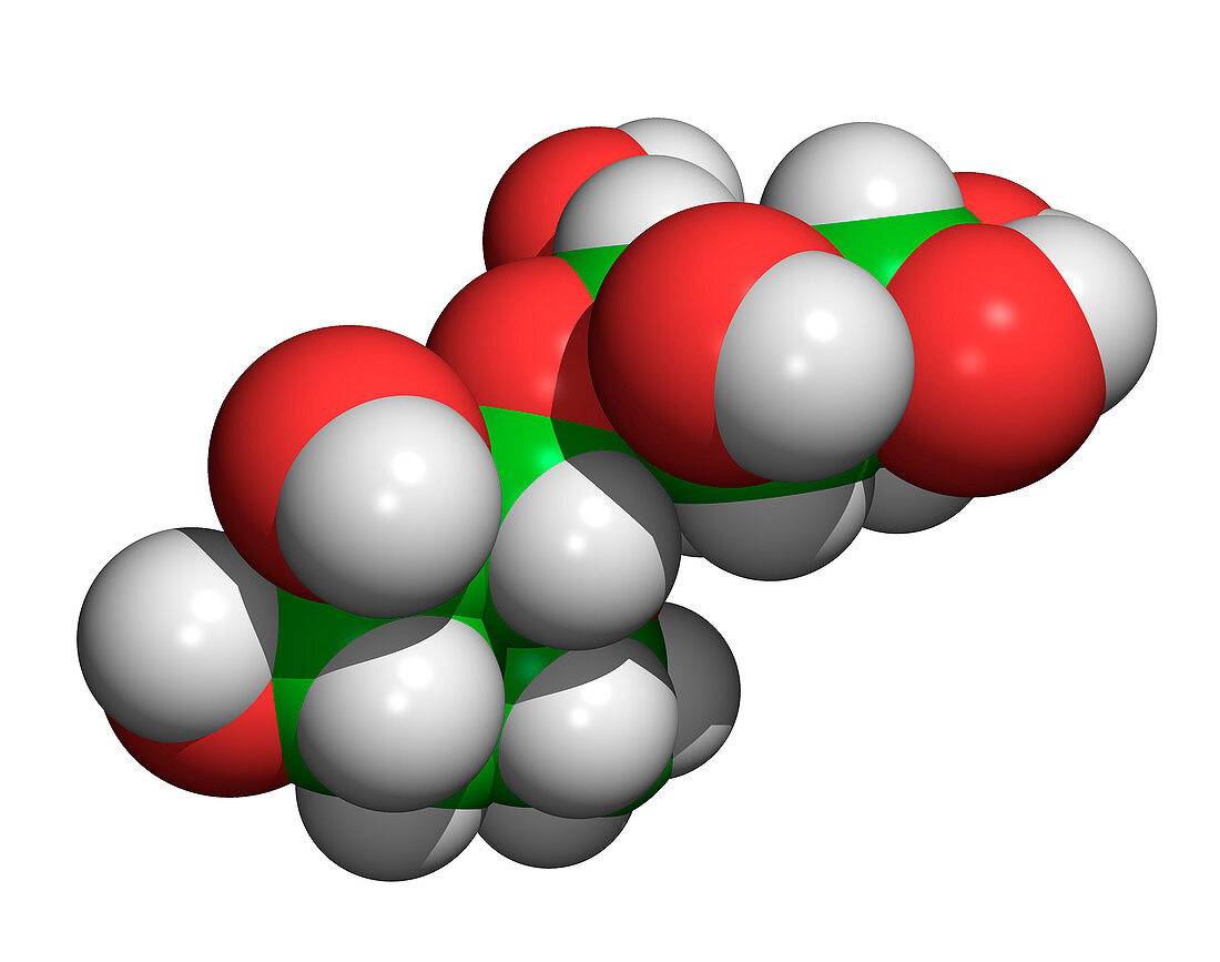 Lactose molecule