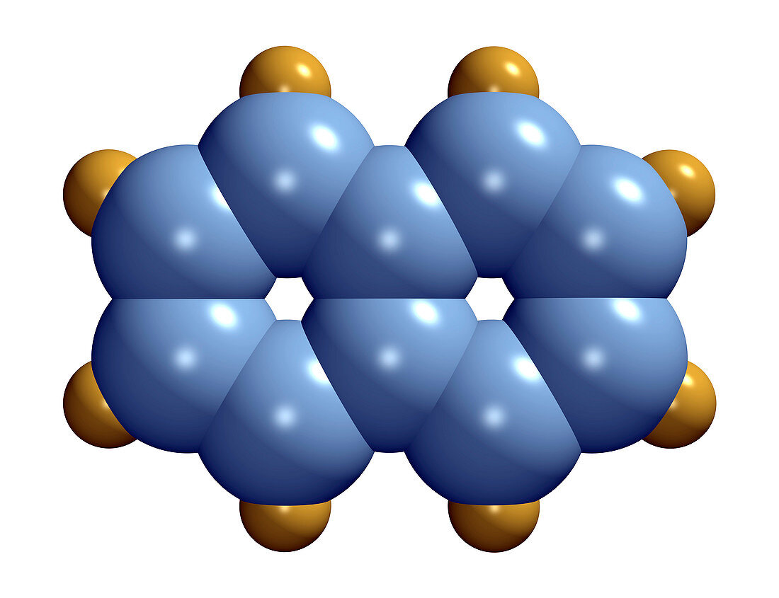 Naphthalene molecule