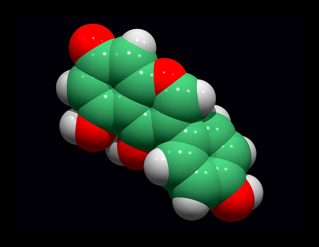 Genistein antioxidant molecule