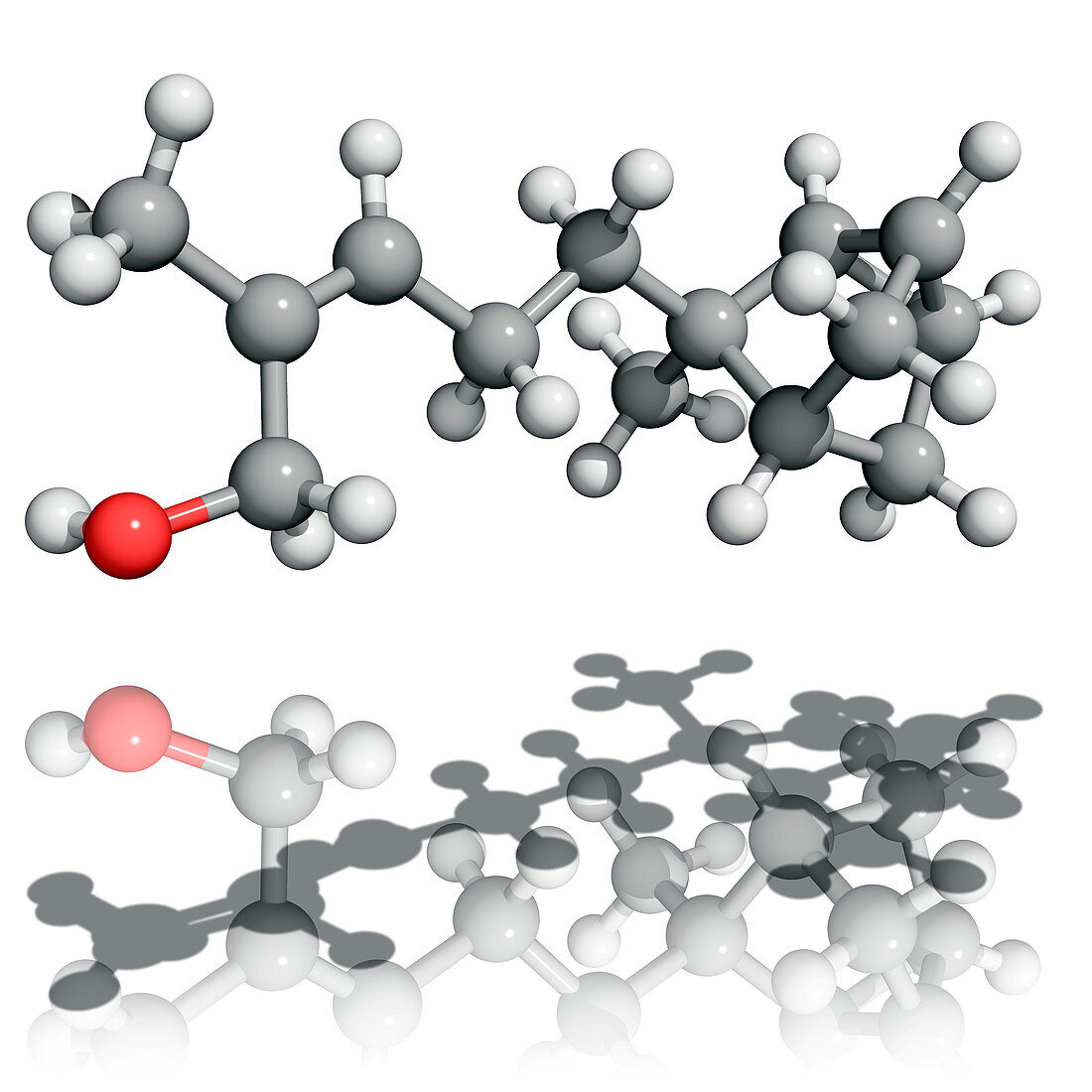 Sandalwood alpha-santalol molecule