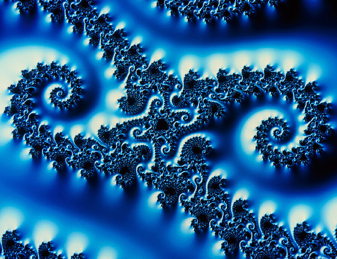 Fractal 3-D image of the Mandelbrot Set