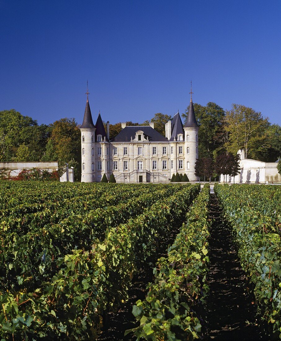 Das herrliche Wein-Château Pichon-Longueville-Baron, Bordeaux