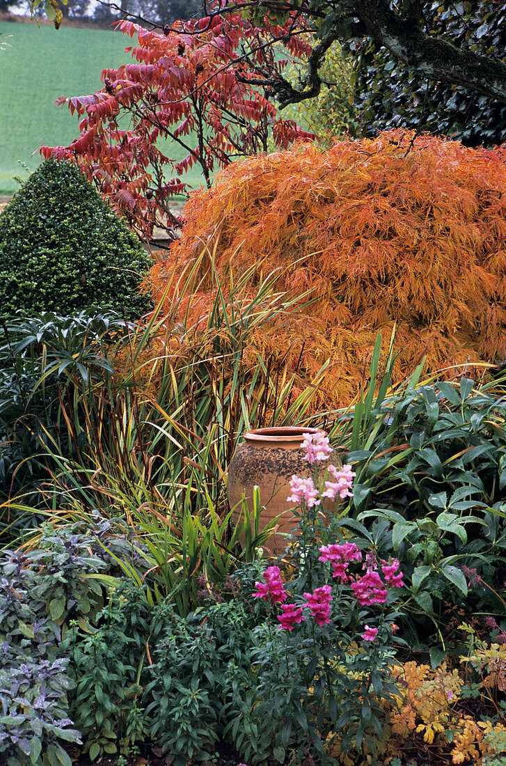 Autumn garden