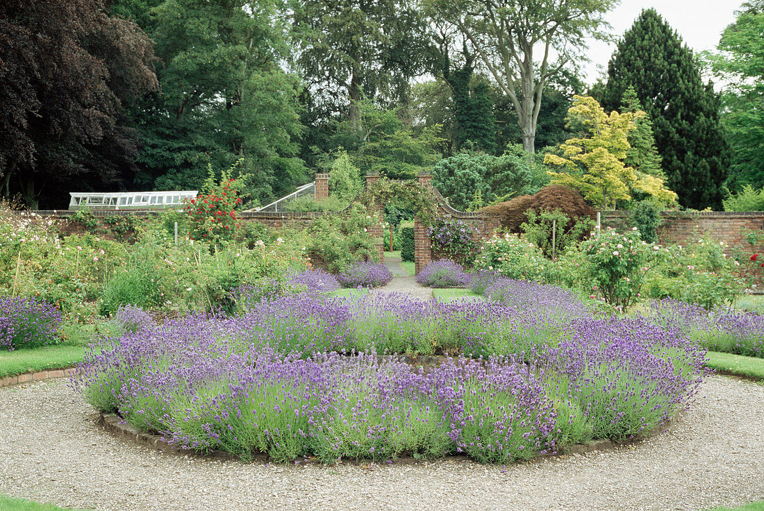 Winterbourne Botanic Garden