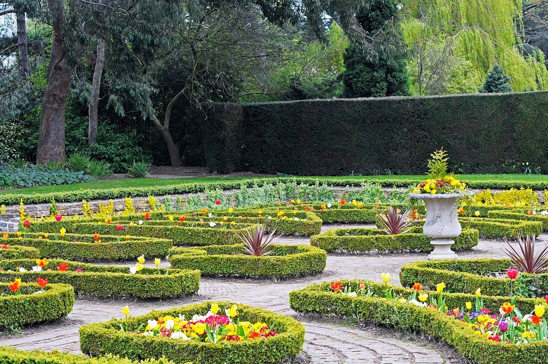 Ornamental garden in spring