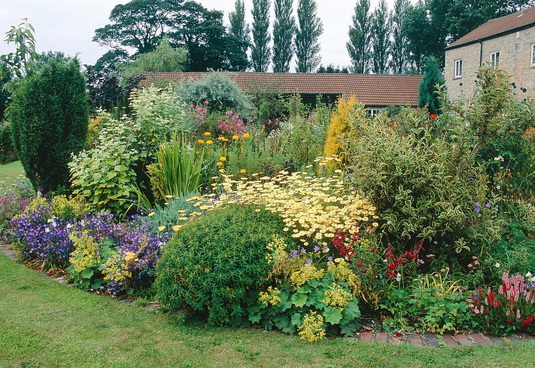 Large island bed in lawn