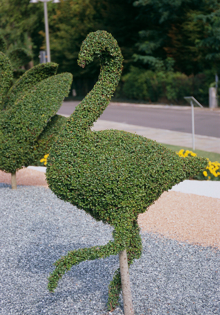 Topiary emu