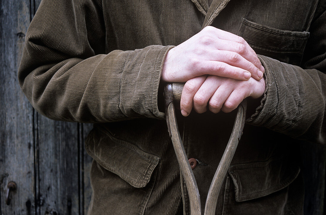 Gardener's hands