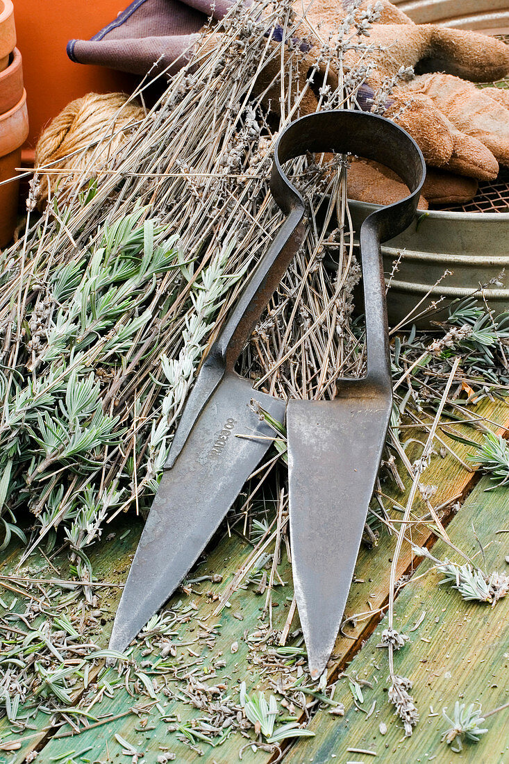 Garden shears