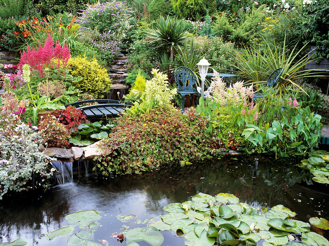 Small garden with pond