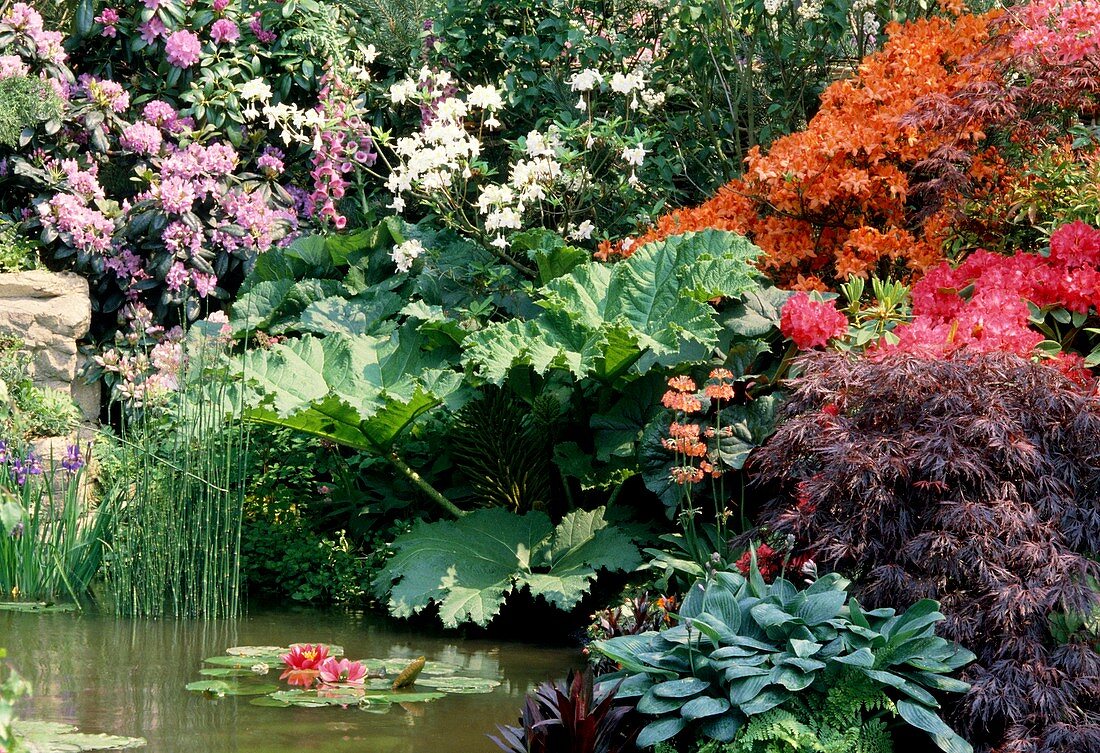 Garden pond